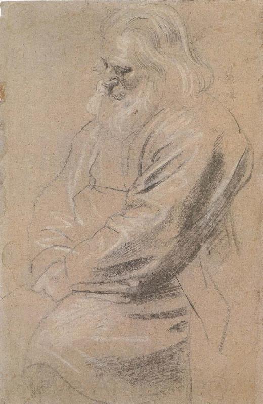 Peter Paul Rubens Sitting  old man